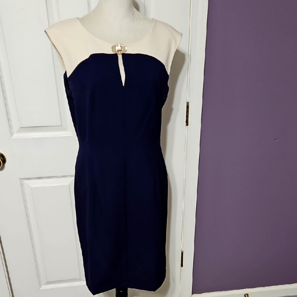 Ellen Tracy Midi Dress